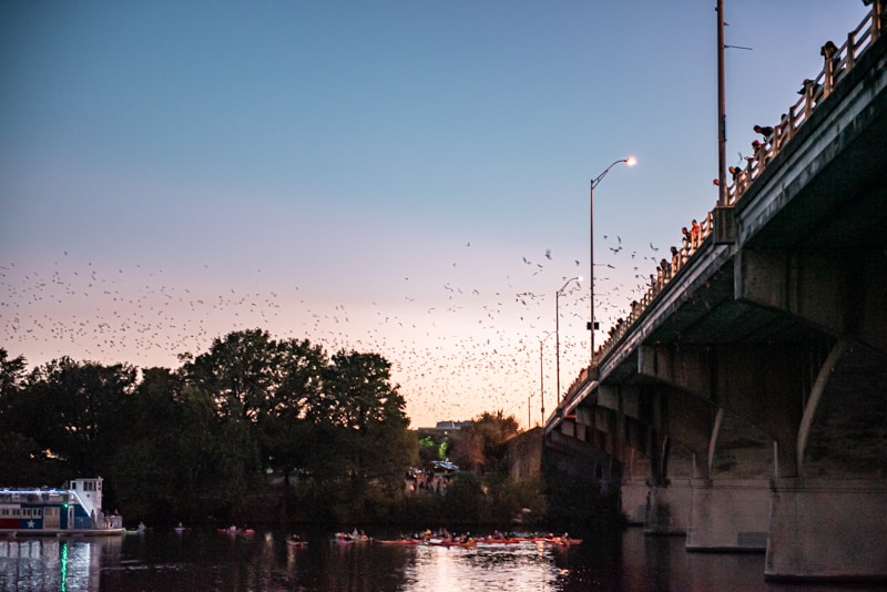 Travel Guide to Austin |Bats Under the Congress St. Bridge